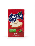 ORGNAL APPLE DRINK 250ML